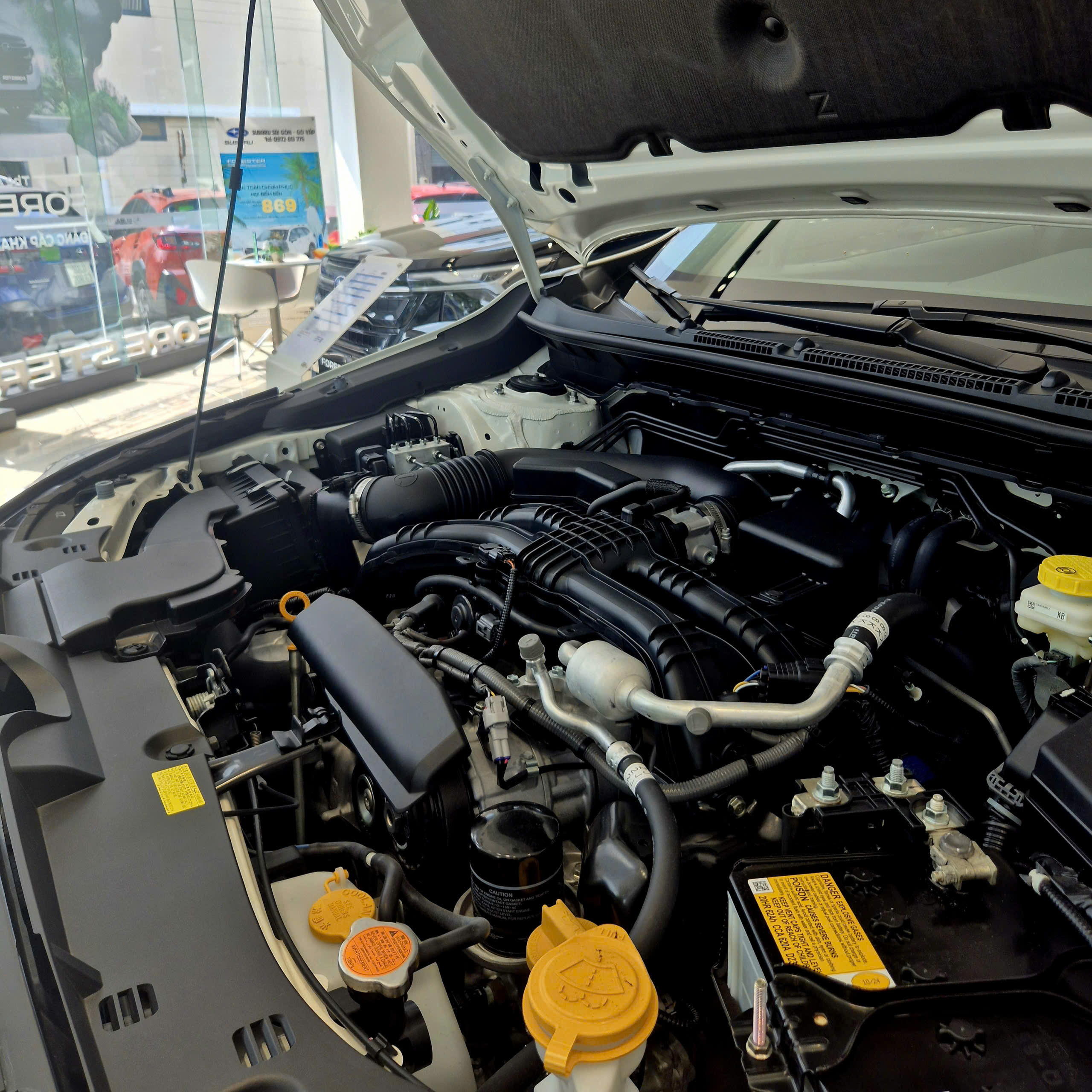 Subaru Crosstrek 2.0 - Ảnh 9